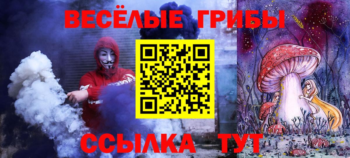 Черняховск  Псилоцибиновые грибы Psilocybine cubensis  Вход с VPN 