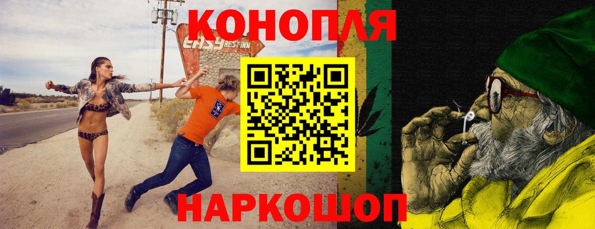 МАРИХУАНА конопля Черняховск